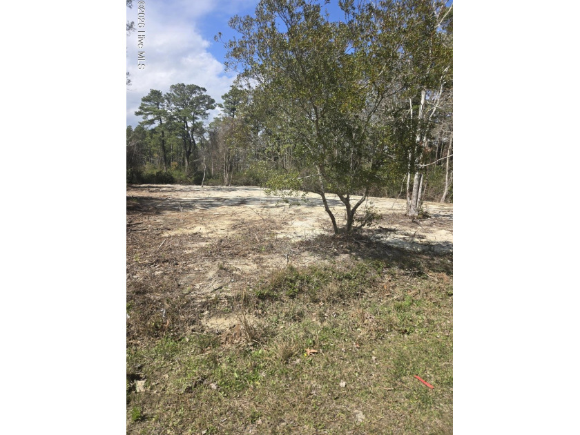 Looking to build on a Great Lot Completely Cleared 0.25 acres - Beach Lot for sale in Southport, North Carolina on Beachhouse.com