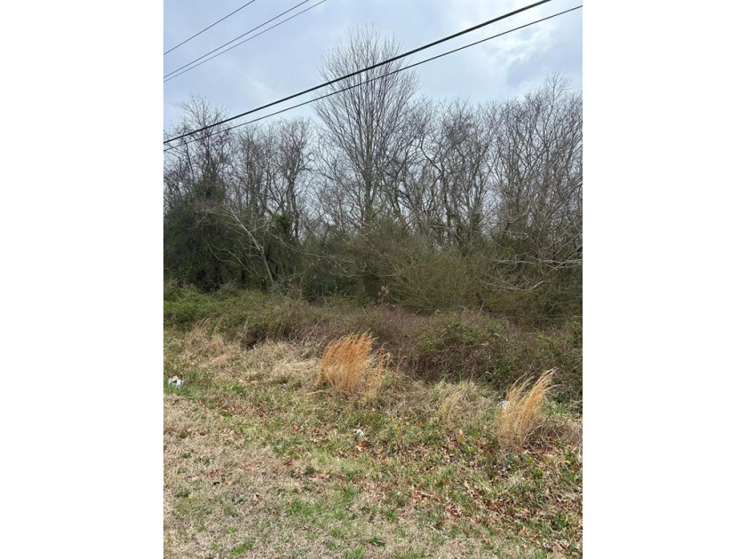 Lightly wooded lot less than 5 minutes from Kiptopeke State Park - Beach Lot for sale in Cape Charles, Virginia on Beachhouse.com