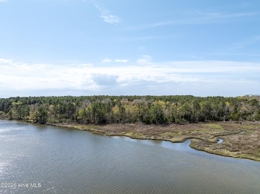 Discover the perfect setting for your dream home on this - Beach Acreage for sale in Hubert, North Carolina on Beachhouse.com