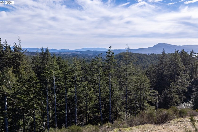 Build your dream home on the Oregon Coast with this exceptional - Beach Lot for sale in Oceanside, Oregon on Beachhouse.com