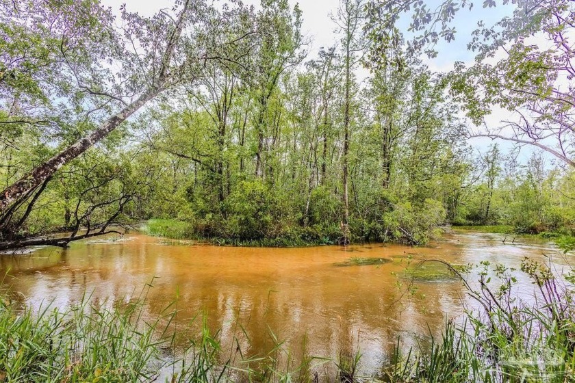 Creek living at its finest! Discover your private retreat on - Beach Acreage for sale in Milton, Florida on Beachhouse.com