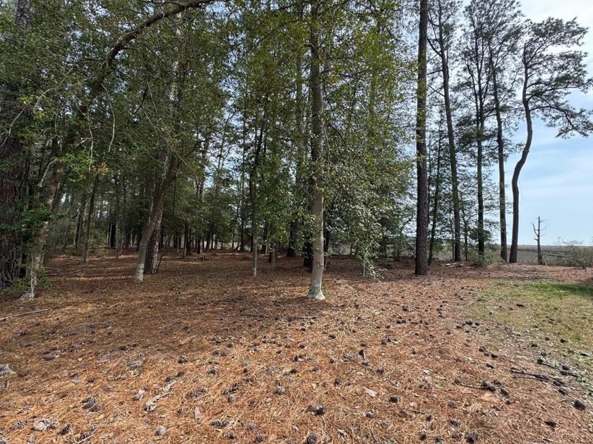 Waterfront lot in the gated community of Seaview with stately - Beach Acreage for sale in Accomac, Virginia on Beachhouse.com