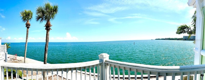 RARE OPPORTUNITY TO OWN THE BEST VIEW OF TAMPA BAY AND THE - Beach Condo for sale in St. Petersburg, Florida on Beachhouse.com