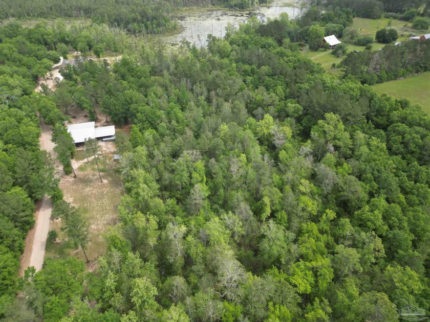 Discover your private sanctuary available now in the highly - Beach Acreage for sale in Pace, Florida on Beachhouse.com