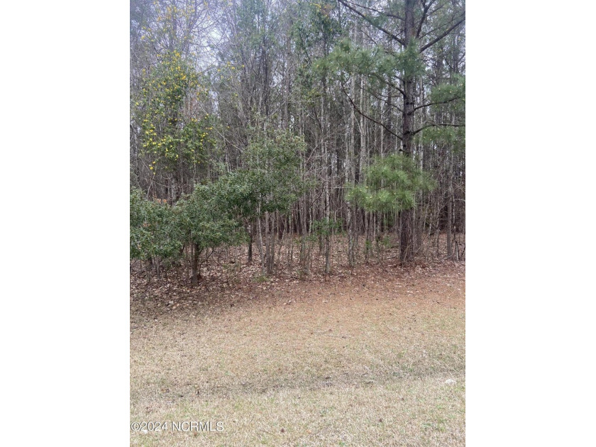Looking for a place to build your dream home that is away from - Beach Lot for sale in Hertford, North Carolina on Beachhouse.com