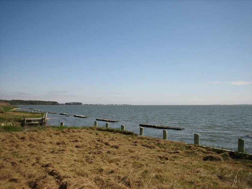 1/748 Direct Chincoteague Bay lot w/ approx 50' of bulkhead - Beach Lot for sale in Greenbackville, Virginia on Beachhouse.com