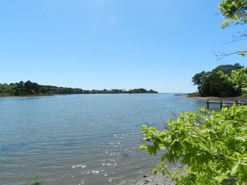 Beautiful, large, waterfront lot with homesite overlooking pond - Beach Acreage for sale in Eastville, Virginia on Beachhouse.com