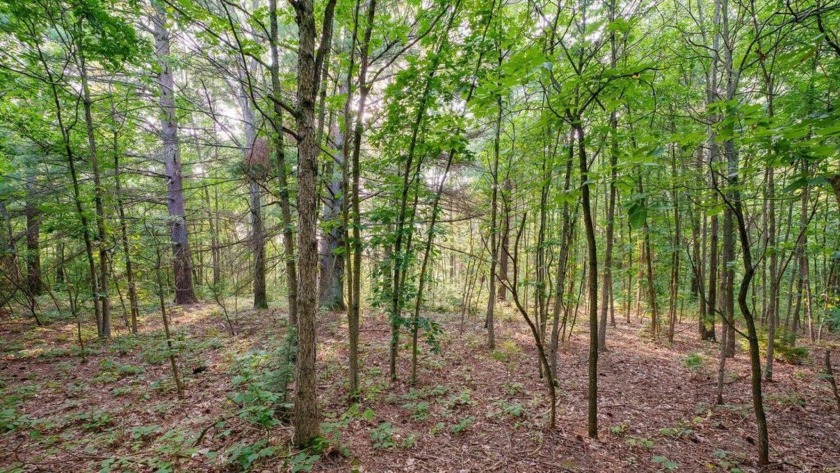 Welcome to your dream homesite in Grand Haven Township! Nestled - Beach Acreage for sale in West Olive, Michigan on Beachhouse.com