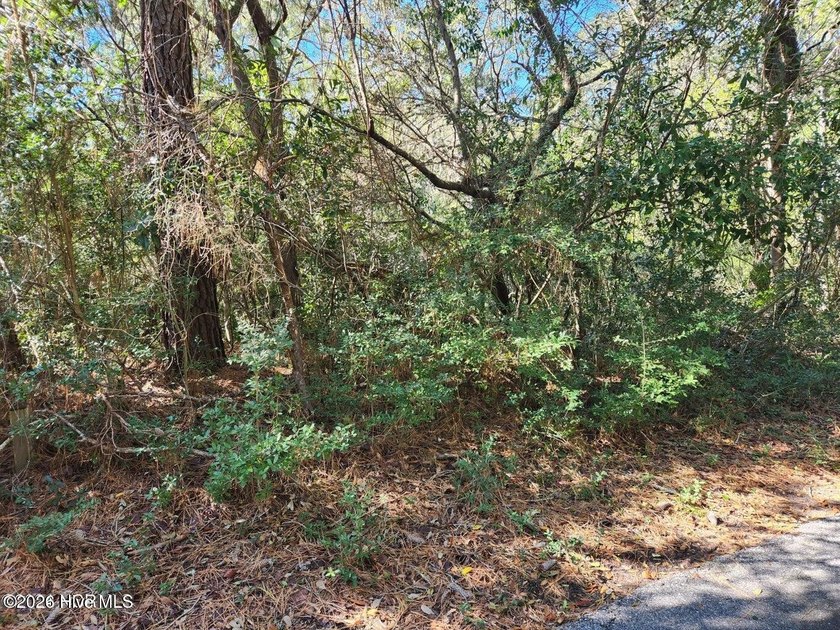 Very attractive, buildable homesite located in the Maritime - Beach Lot for sale in Bald Head Island, North Carolina on Beachhouse.com
