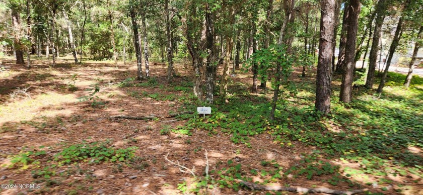 Build your dream house on this beautiful lot in Seascape located - Beach Lot for sale in Supply, North Carolina on Beachhouse.com