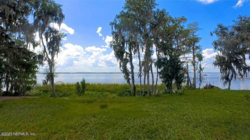 Seller Financing Available for this Gorgeous Old Florida River - Beach Lot for sale in St Augustine, Florida on Beachhouse.com