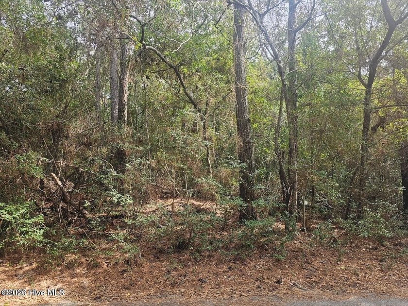 Looking for your best Golf Course homesite to build your dream - Beach Lot for sale in Bald Head Island, North Carolina on Beachhouse.com