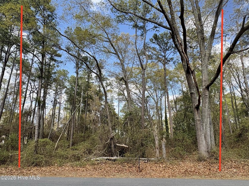 Located in a waterfront community, ready for you to build your - Beach Lot for sale in Edenton, North Carolina on Beachhouse.com