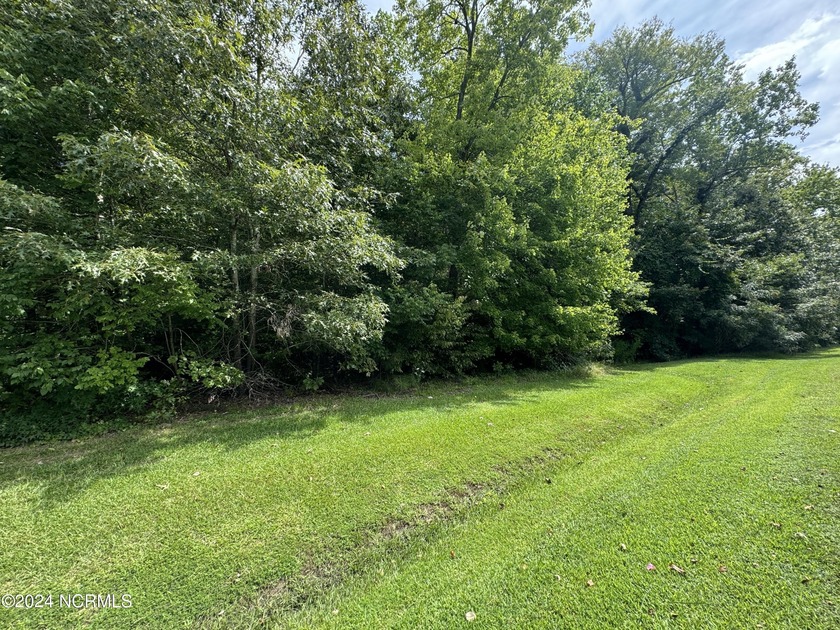 Discover the perfect canvas for your dream home on this large - Beach Lot for sale in Hertford, North Carolina on Beachhouse.com