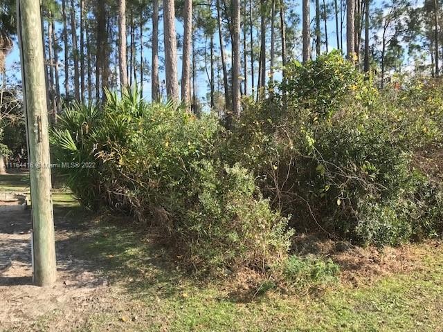 Vacant Lot! Don't miss this Lehigh Woods Neighborhood Investors - Beach Lot for sale in Palm Coast, Florida on Beachhouse.com