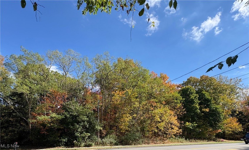 Utilities on the Street. Vacant Lot. Bring your builder! Great - Beach Lot for sale in Willoughby, Ohio on Beachhouse.com