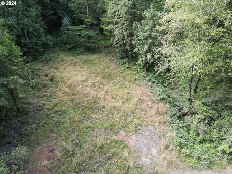 Great opportunity to own a buildable piece of land in the - Beach Lot for sale in Florence, Oregon on Beachhouse.com