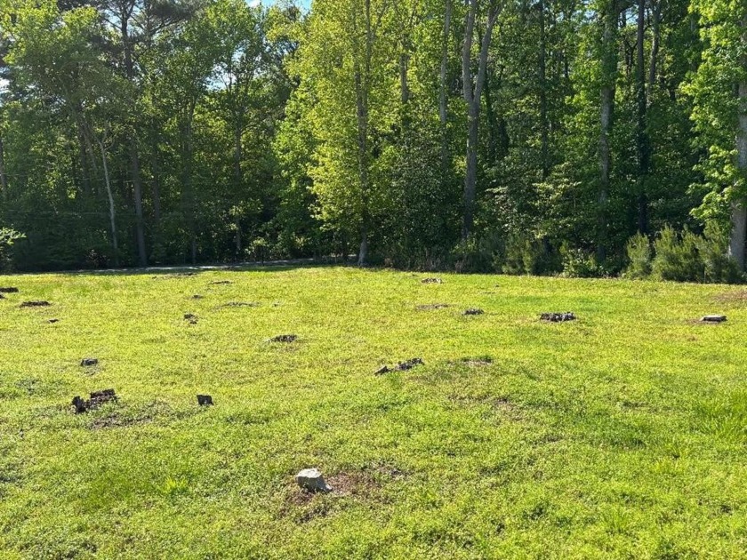 Cleared lot with 9th hole view of Captain's Cove Golf Course - Beach Lot for sale in Greenbackville, Virginia on Beachhouse.com