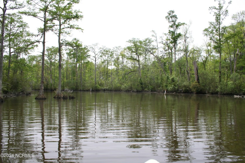 This large building lot is located in the beautiful Deep Creek - Beach Lot for sale in Hertford, North Carolina on Beachhouse.com