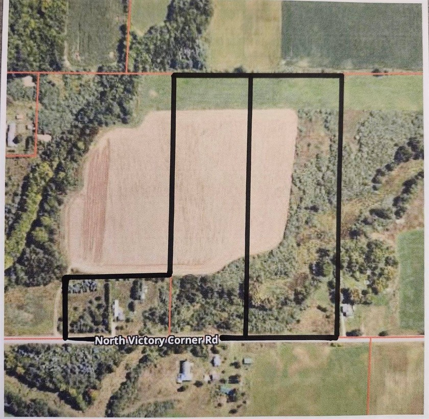 Generous Acreage: Enjoy the freedom and privacy of a full 30 - Beach Home for sale in Ludington, Michigan on Beachhouse.com