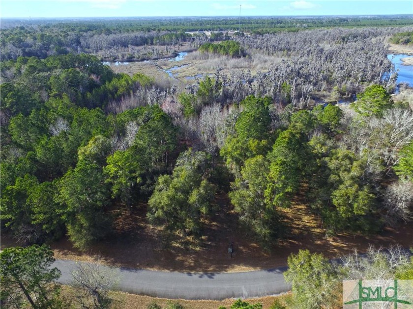 Build your dream home on this gorgeous and very private 0.68 - Beach Lot for sale in Townsend, Georgia on Beachhouse.com