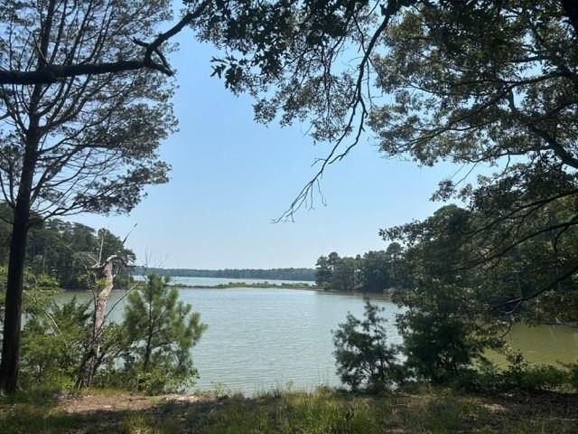 Waterfront HORSE country! Ready to build, with septic letter - Beach Acreage for sale in Machipongo, Virginia on Beachhouse.com