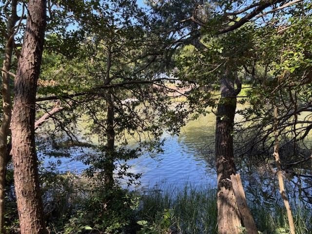 Gorgeous waterfront HORSE country with septic letter and ready - Beach Acreage for sale in Machipongo, Virginia on Beachhouse.com