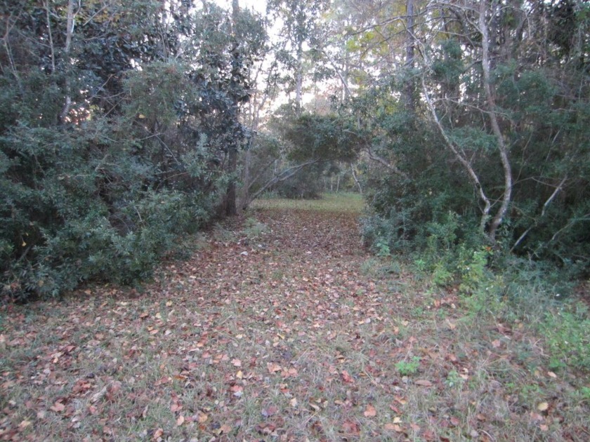 Two beautiful lots on a dead-end street that must be sold - Beach Lot for sale in Santa Rosa Beach, Florida on Beachhouse.com