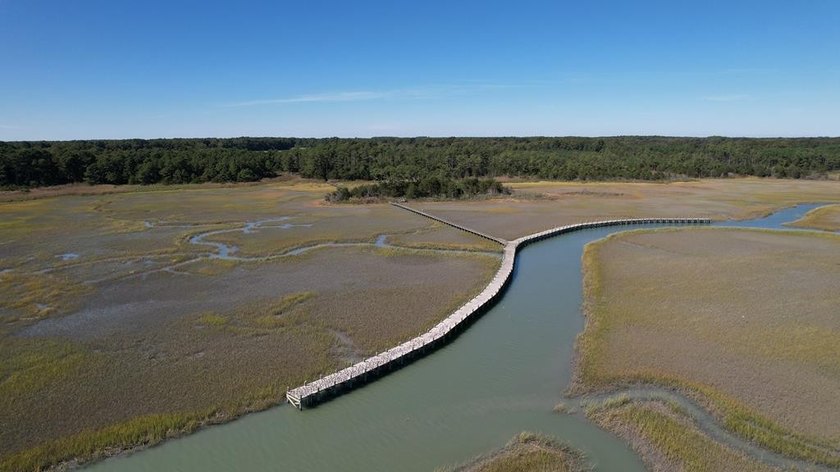 Beautiful 713-acre Oceanside Waterfront Farm & Forest - Beach Acreage for sale in Eastville, Virginia on Beachhouse.com