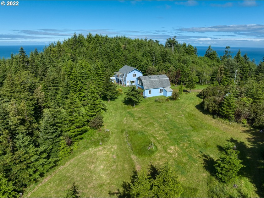 Enjoy the birds and wildlife of the forest!  Your family will - Beach Home for sale in Gold Beach, Oregon on Beachhouse.com