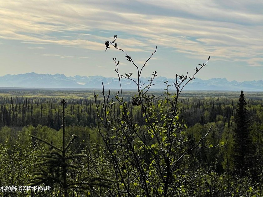 RARE 20 ACRE LOT WITH OUT OF THIS WORLD PANORAMIC MOUNTAIN - Beach Acreage for sale in Kenai, Alaska on Beachhouse.com