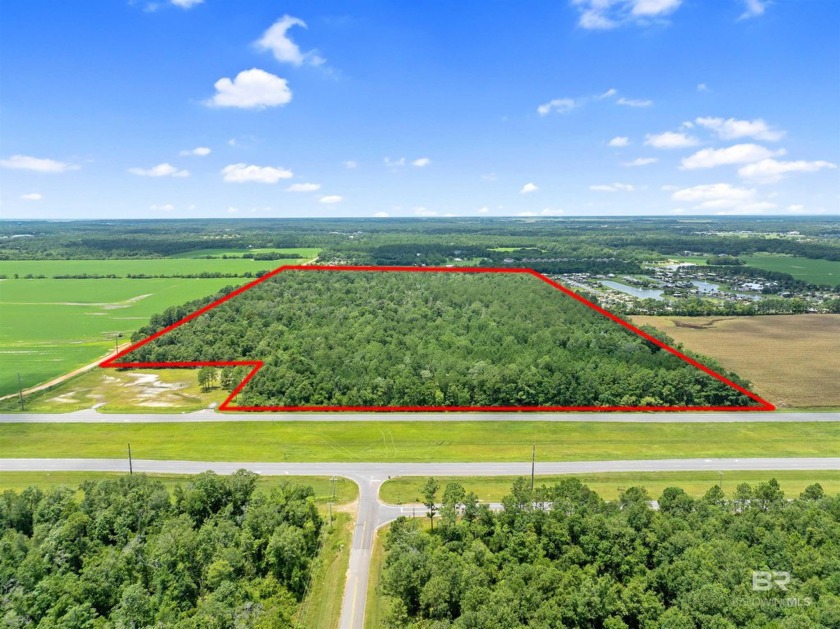 Discover an exceptional opportunity with over 68 acres of land - Beach Acreage for sale in Foley, Alabama on Beachhouse.com