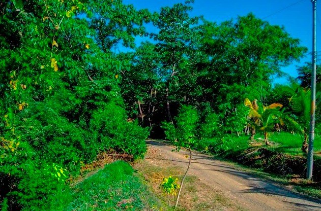 Situated on the lower slopes of the Montana Sector of La Reserva - Beach Lot for sale in Playa Camaronal,  on Beachhouse.com