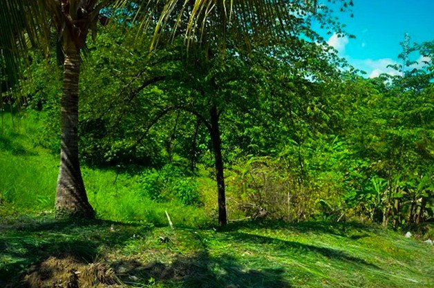 Situated on the lower slopes of the Montana Sector of La Reserva - Beach Lot for sale in Playa Camaronal,  on Beachhouse.com