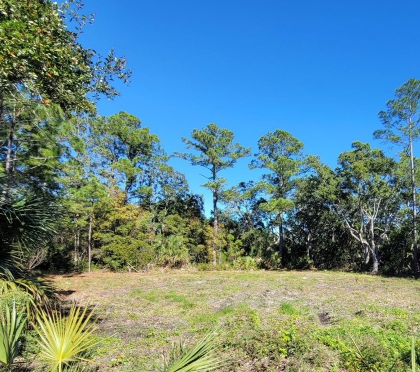 Great Coastal Home Site: Cleared with Readily Available - Beach Lot for sale in Crawfordville, Florida on Beachhouse.com