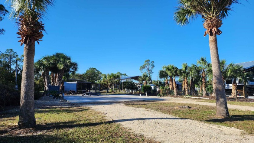 Discover a fantastic .25 acre lot nestled in the Sandpiper - Beach Lot for sale in Keaton Beach, Florida on Beachhouse.com