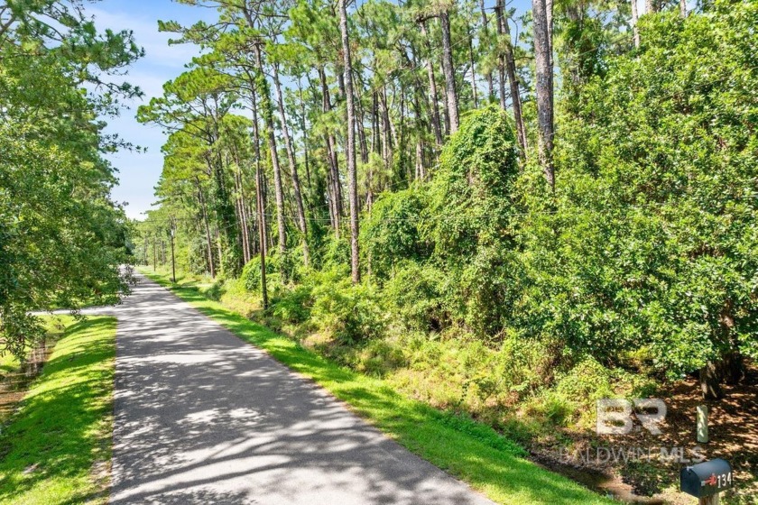 Great price on this wooded lot just south of Bienville Boulevard - Beach Lot for sale in Dauphin Island, Alabama on Beachhouse.com