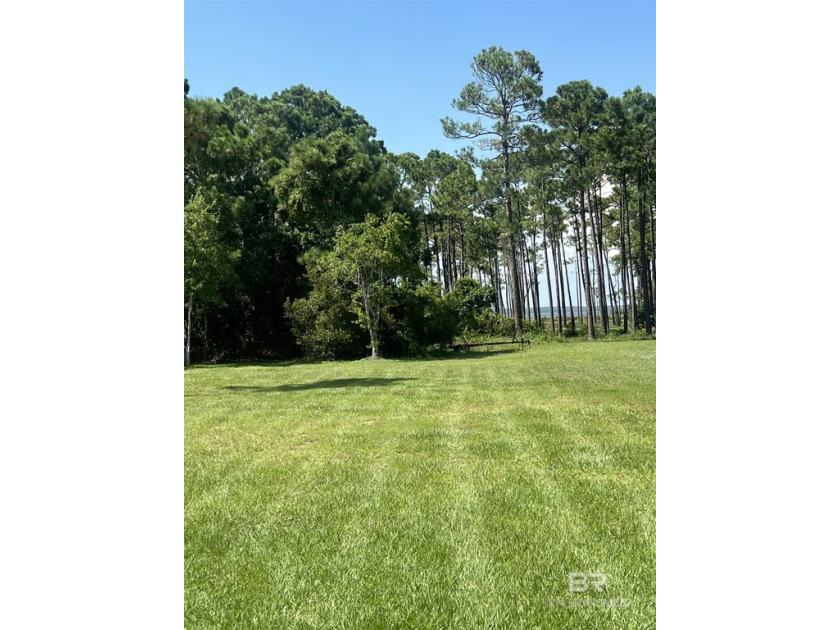 Build your dream home on this large lot located in the heart of - Beach Lot for sale in Orange Beach, Alabama on Beachhouse.com