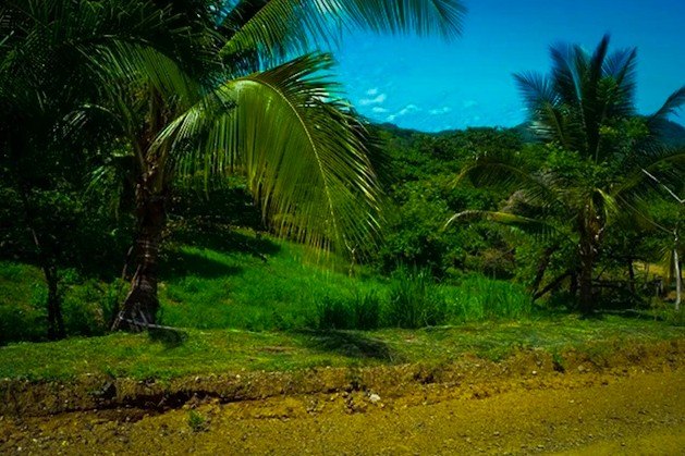 Situated on the lower slopes of the Montana Sector of La Reserva - Beach Lot for sale in Playa Camaronal,  on Beachhouse.com