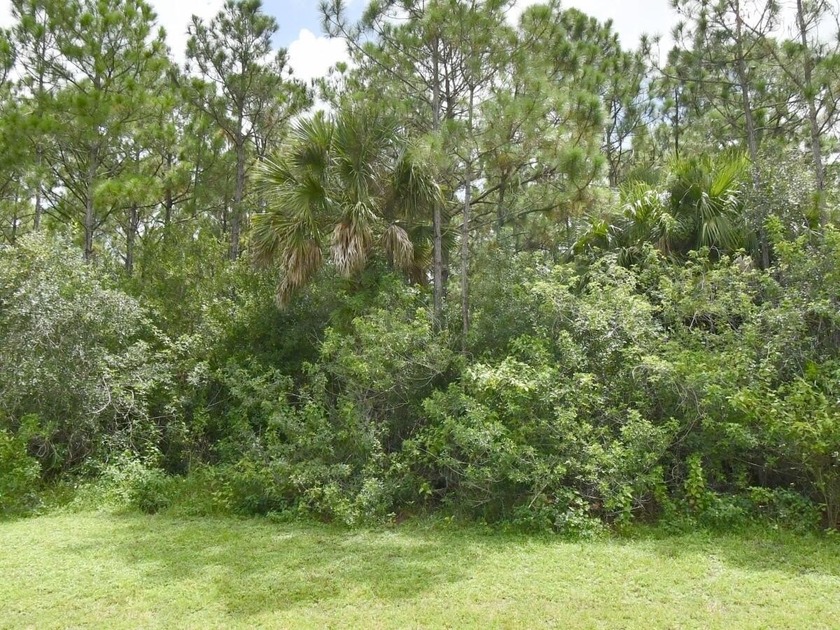 Build Your Dream Home in Prestigious Sabal Creek PGA Village An - Beach Lot for sale in Port Saint Lucie, Florida on Beachhouse.com