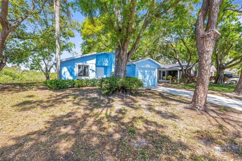 Charming Home in a Tranquil Cul-de-Sac with Lake Views

Nestled - Beach Home for sale in Tarpon Springs, Florida on Beachhouse.com