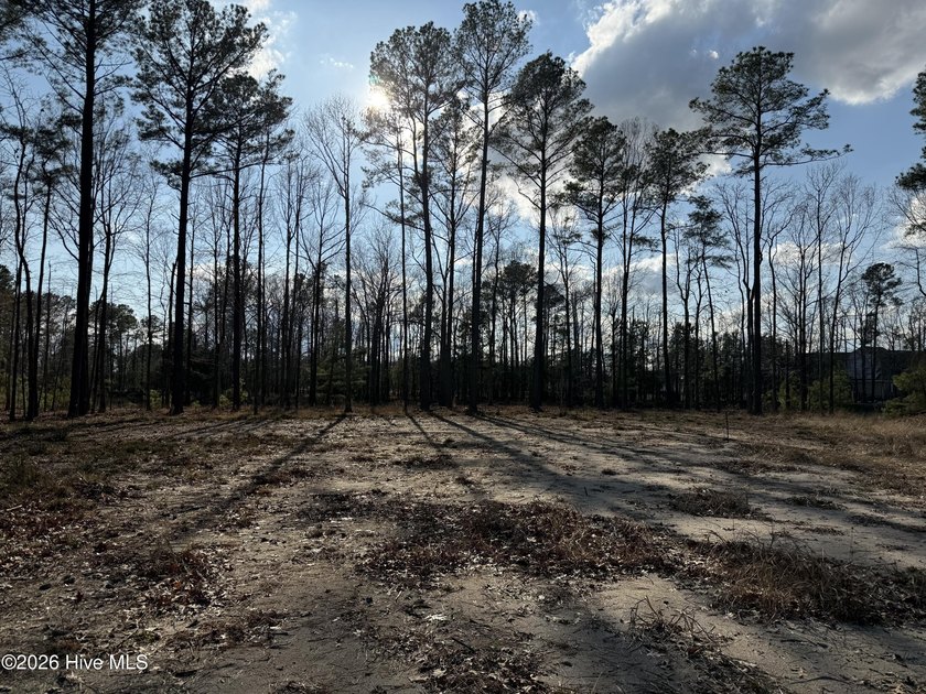 Don't Miss out on this one of a kind over sized building home - Beach Lot for sale in Hertford, North Carolina on Beachhouse.com