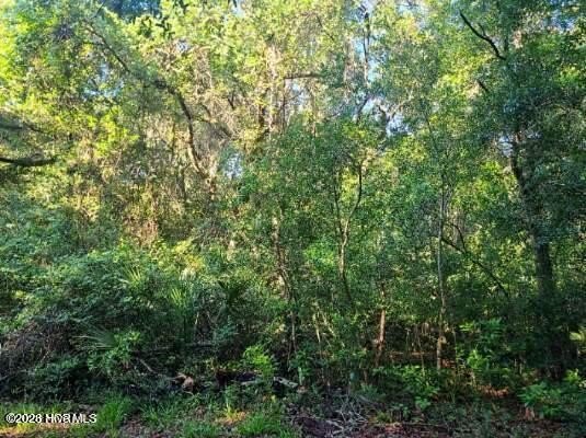 Check out this attractive homesite located in the Maritime - Beach Lot for sale in Bald Head Island, North Carolina on Beachhouse.com
