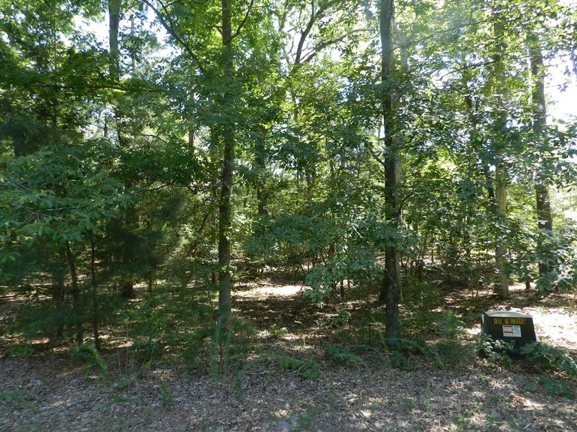 Beautiful wooded lot on cul-de-sac with good elevation sloping - Beach Lot for sale in Machipongo, Virginia on Beachhouse.com