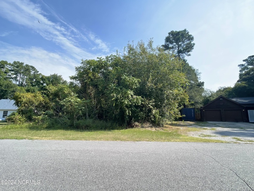 Looking for a lot to build your home that has a view of the - Beach Lot for sale in Edenton, North Carolina on Beachhouse.com