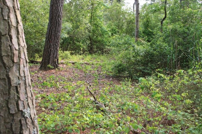 Three parcels are available for sale with common borders for a - Beach Acreage for sale in Chincoteague Island, Virginia on Beachhouse.com