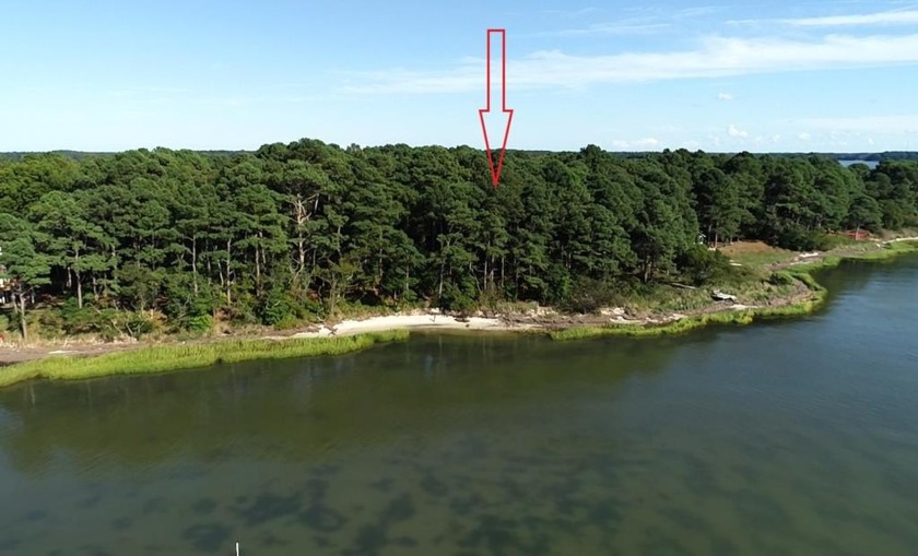 This little Gem is a *Hidden Treasure*. You won't find many of - Beach Lot for sale in Machipongo, Virginia on Beachhouse.com