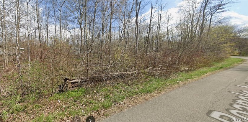 This 200 X 100 building lot is the perfect sight to build your - Beach Lot for sale in Angola, New York on Beachhouse.com