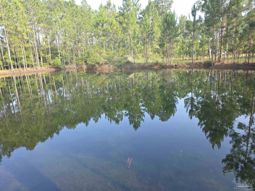 Build your dream home on this 2 acre lot with it's own pond! At - Beach Acreage for sale in Pensacola, Florida on Beachhouse.com