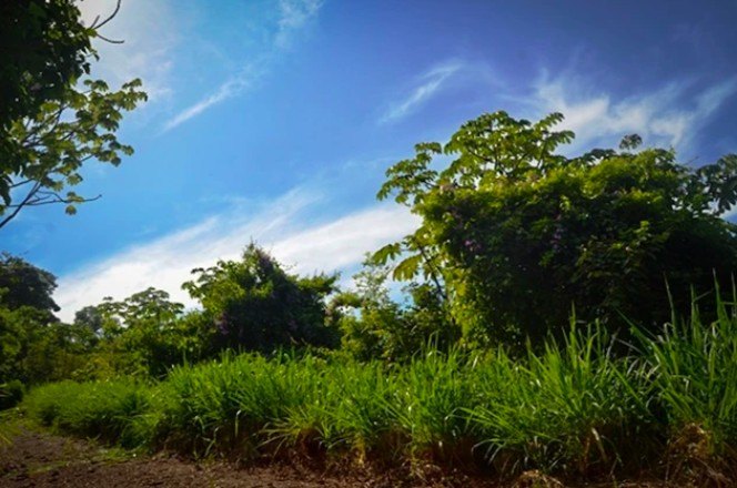 Nestled within the pristine, gated community of La Reserva - Beach Lot for sale in Playa Camaronal,  on Beachhouse.com